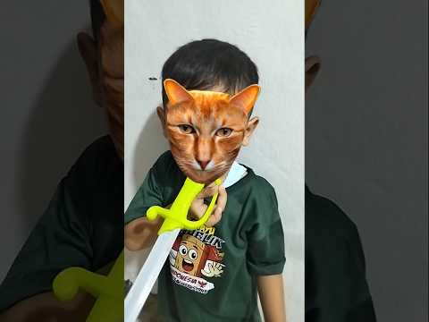 kucing galak #shorts