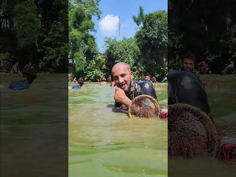 Asian Country Fishing #shorts | Amazing Rural Fishing Video 🐟 Best Asian Fishing Technique #shorts