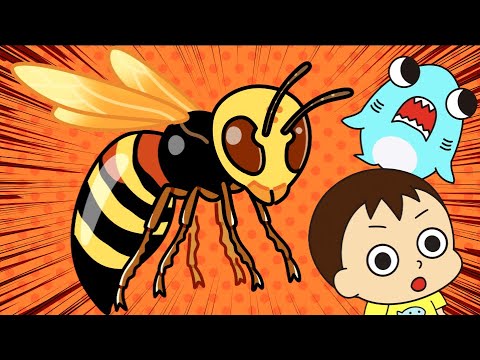 【昆虫アニメ】スズメバチの冒険まとめ!ムシの生態を知ろう!知育教育サメニンアニメ!
