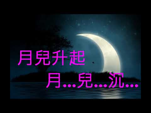 NO:338 相思夜夜深- 韓寶儀(國語) (娛己娛人卡拉OK) – 特大字幕MV