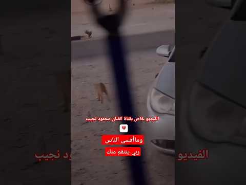 اسف على هذا الفيديو ولكم حق التعليق على صاحب السيارة ويلي عم يصور الله ياخدهم وينتقم منهم 😭😭😭😭