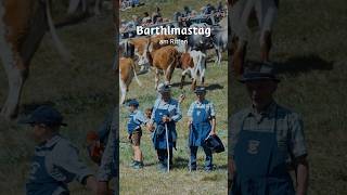 Barthlmastag am Ritten: Eine Tradition, die Generationen verbindet