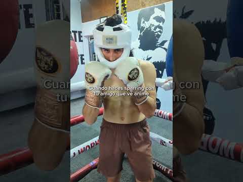 Si se vio toda la Saga de Ippo Makunouchi 🥊#fpyシ #boxing #anime