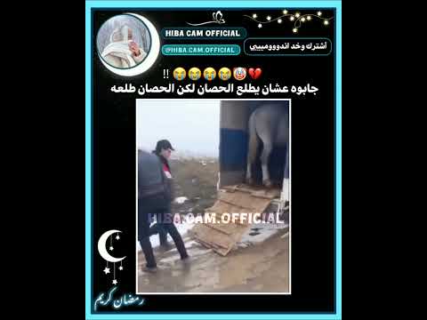 جابوه عشان يطلع الحصان بس الحصان طلعه😭😂🤦🏻♀️.اشترك وخد اندوووميييي #fyp #funny #blackpink