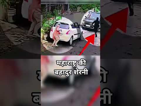 महाराष्ट्र की बहादुर शेरनी ll #brave #bravery #shorts
