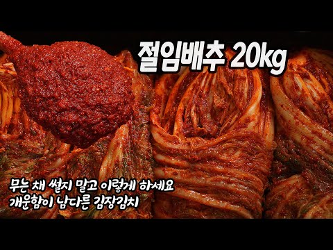 절임배추 20kg 김장김치 담그는법. 쪽파, 갓, 양파, 멸치액젓, 무채 필요 없어요! 개운하고 감칠맛 끝내주는 김장김치 담그는법. 그냥 먹어도 맛있고 익어도 맛좋은 김장김치 양념