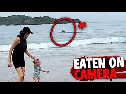 6 Most DISTURBING Times Tourists Were Eaten Alive on Vacation...