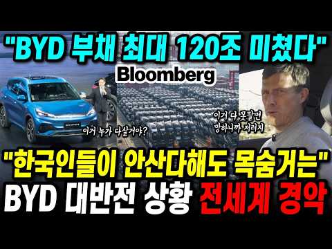 중국 BYD가 한국 진출에 목숨거는 이유 "BYD 부채 최대 120조" 전세계 경악