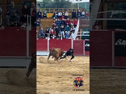 EL 3 VECES CAMPEÓN DEL MUNDO‼️ BULLFIGHTERS VALL D’UIXO #bull #toros #tradiciones #toros