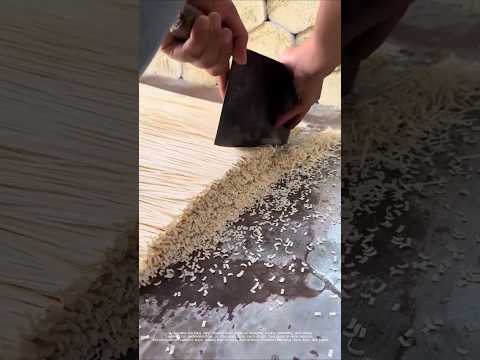 A bowl of noodles: the craftsmanship behind it, from mixing the dough to serving it