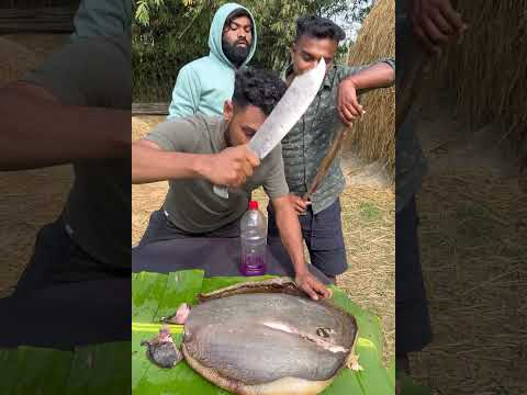 Biggest sankor fish fry #fish h