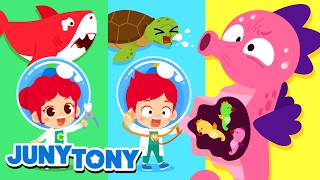 Here Comes The Shark🦈 Baby Shark & More | Shark Songs Compilation | JunyTony #animals