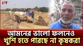 গাইবান্ধায় আমনের বাম্পার ফলন; তবুও কেন হতাশ কৃষকরা? | Gaibandha Amon Rice | Ekattor TV