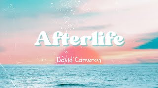 David Cameron - Afterlife (Official MV)