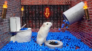 Hamster: The Last Airbender 🐹 Prison Escape