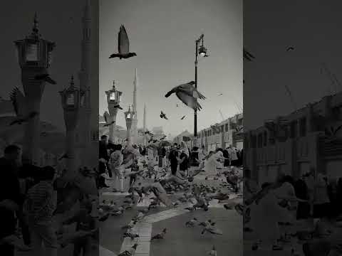 #جمعة_مباركة #ﷺ #اللهم_صل_وسلم_على_نبينا_محمد