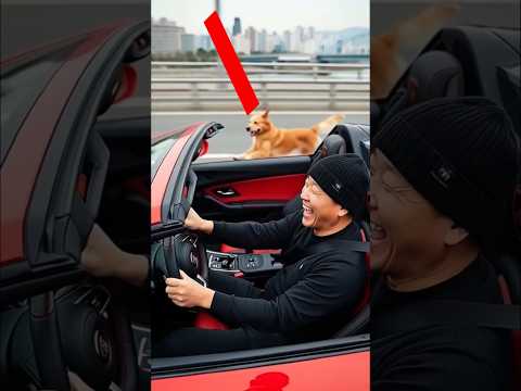 He Laughed… Then Karma Hit Back 💥🐕 | Shocking Street Story