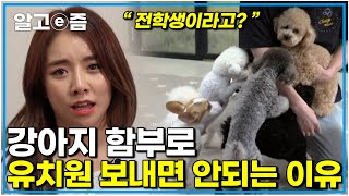 "오히려 세상과 멀어졌다" 혼자 너무 외로울까봐 마음아파서 보낸 강아지 적응 못하는 모습에 울어버린 트로트여신 설하윤│세상에 나쁜 개는 없다│알고e즘