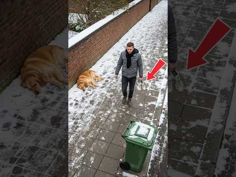 The smart dog gave the poor old man a meaningful gift #rescue #goldenretriever #wildliferescue #dogs