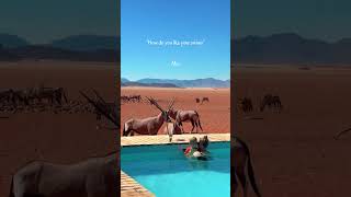 Would you swim here?!💧