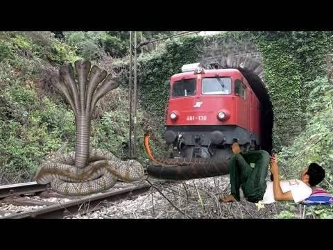 Crazy Anaconda stops the train and escapes in Indian train simulator