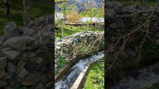 Beautiful Nature #nature #relaxing #music #ytshorts