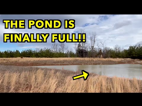 The Pond Is FULL!  But will it stay that way?