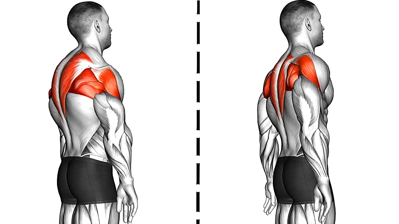 10 Effective Exercises to Improve Your Posture