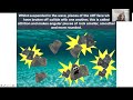 Understanding Coastal Processes and Erosion