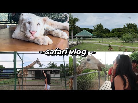 Travel Vlog: SAFARI IN ILOCOS