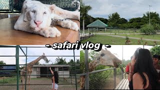 Travel Vlog: SAFARI IN ILOCOS