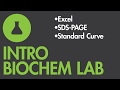 Molecular Weight Calculation Techniques