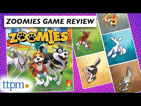 How to Play Zoomies - A Game for Dog Lovers!