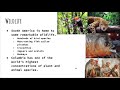 Geography and Culture of South America