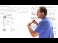 Bone Structure and Function Concepts