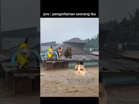 apapun akan dilakukan demi anak anaknya #meme #memekucing #kucing #kucinglucu #fyp #viral