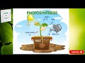 Autotrophs and Heterotrophs Concepts