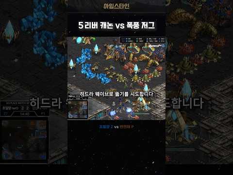 미친 히드라 돌파 vs 토스 수비라인 끝판왕