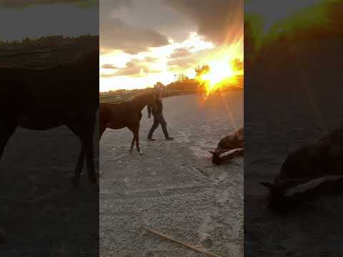 Ich liebe diese Kulisse