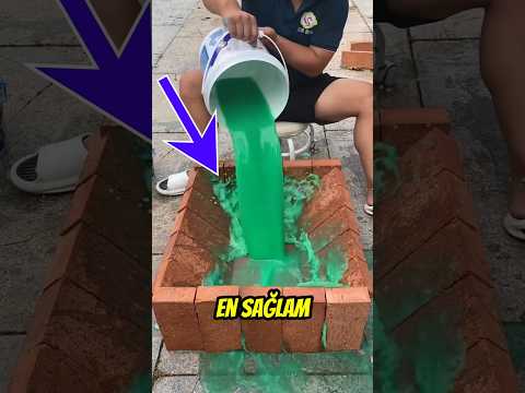 Dünyanın EN SAĞLAM Akvaryumu 🐠