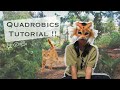 Quadrobics Techniques and Safety Tips