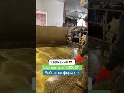 ПИШИТЕ ++ В КОММЕНТАРИИ #вакансии