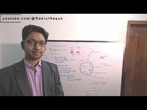 Thalassemia Part 01: Introduction, Definition, Classification, Discussion on Beta-Thalassemia