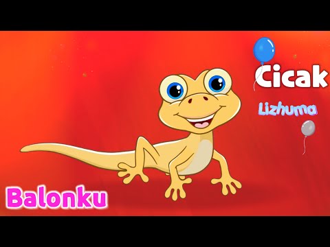 Cicak CICAK Dinding | Lagu anak anak, Balonku ada lima, lagu anak balita indonesia