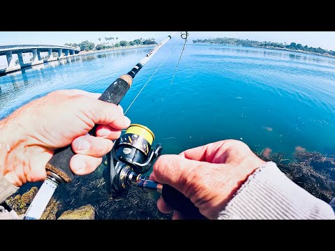 The BIG USA TRIP - My First Fish In San Diego - Part 1
