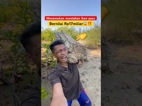 Ketemu muntahan ikan paus bernilai Rp17miliar😱‼️#minivlog #adventure #viralpantai #villagekidslife