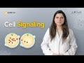 Cellular Signaling Concepts Assessment