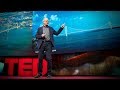 Bridges: Connectivity, Innovation, and Beauty