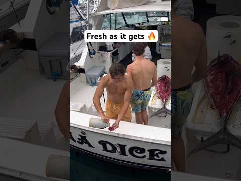 🔥 not sure why he poured menhaden oil on it tho #fish #tuna #outdoors #fishing #boat #shorts #sushi