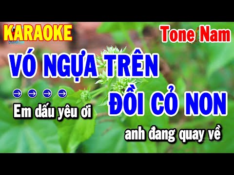 Vó Ngựa Trên Đồi Cỏ Non Karaoke Tone Nam Nhạc Sống Cha Cha | Karaoke Thanh Hải